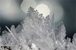 Eiskristalle Foto Martin Meggle-Freund